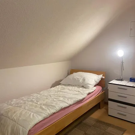 Heerbrugg Flat Widnau