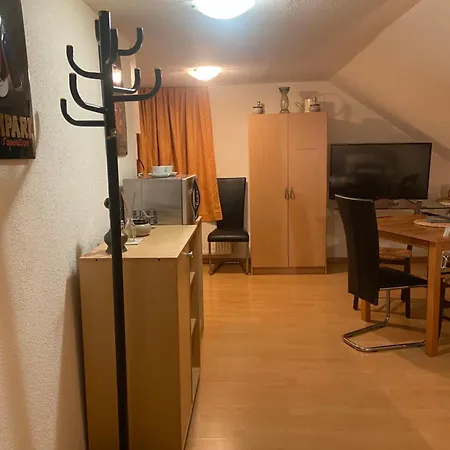 Heerbrugg Flat Widnau